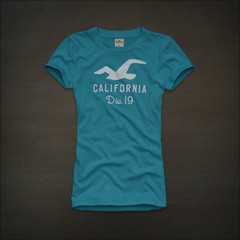 Hình Áo ngắn tay Hollister HCO-NT07