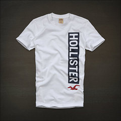 Hình Áo thun T-shirt Hollister cao cấp nhập HCO-T67