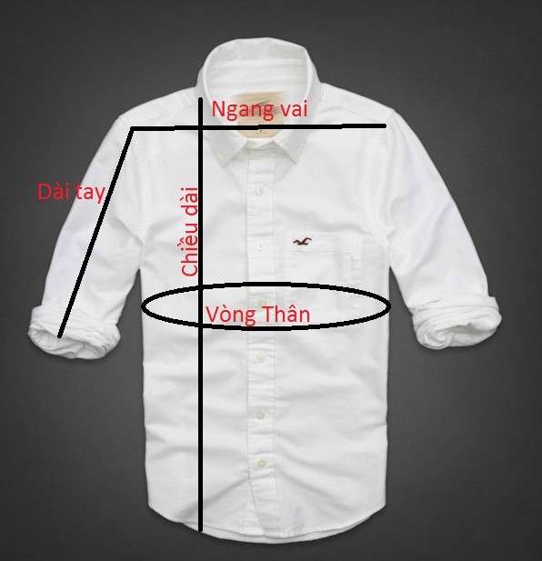 kích thước áo sơ mi aber hollister