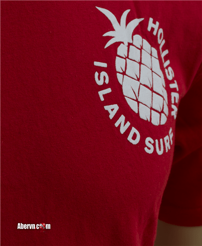 Hình Áo thun hollister tại sài gòn HCO-T69