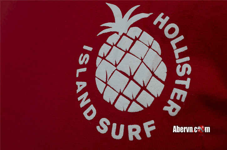 Hình Áo thun hollister tại sài gòn HCO-T69