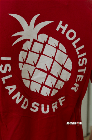 Hình Áo thun hollister tại sài gòn HCO-T69