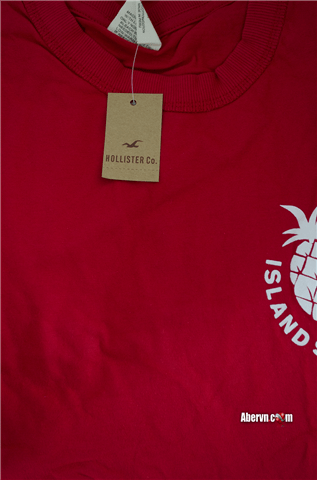 Hình Áo thun hollister tại sài gòn HCO-T69