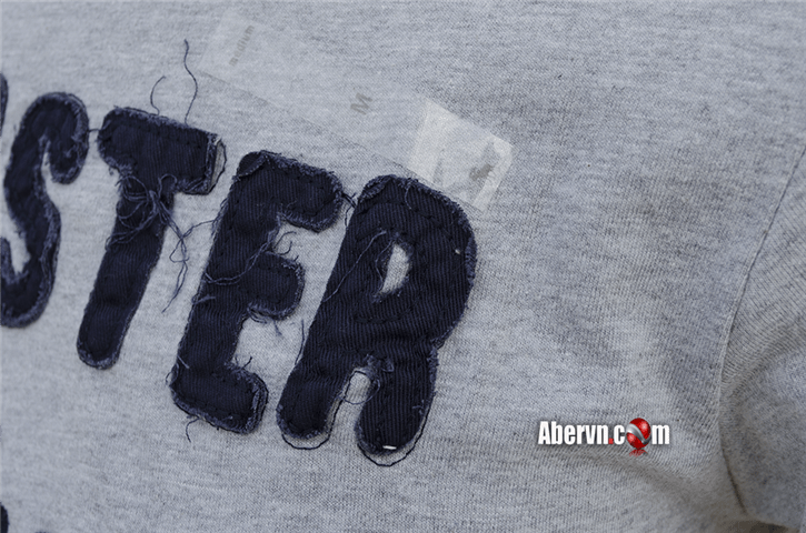 Hình Áo thun nam Hollister việt nam HCO-T70