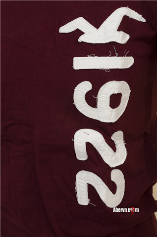 Hình Thun Nam hollister ngắn tay HCO-T71