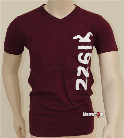 Hình Thun Nam hollister ngắn tay HCO-T71