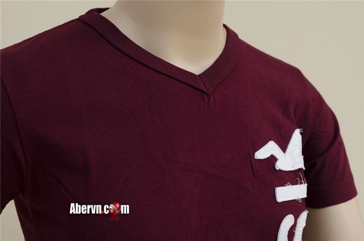 Hình Thun Nam hollister ngắn tay HCO-T71