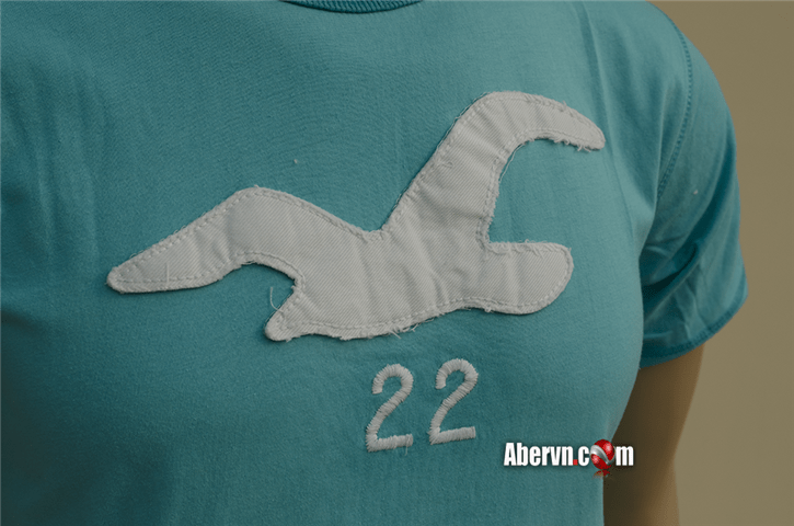 Hình Áo phông nam Hollister tại việt nam HCO-T73