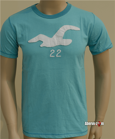 Hình Áo phông nam Hollister tại việt nam HCO-T73