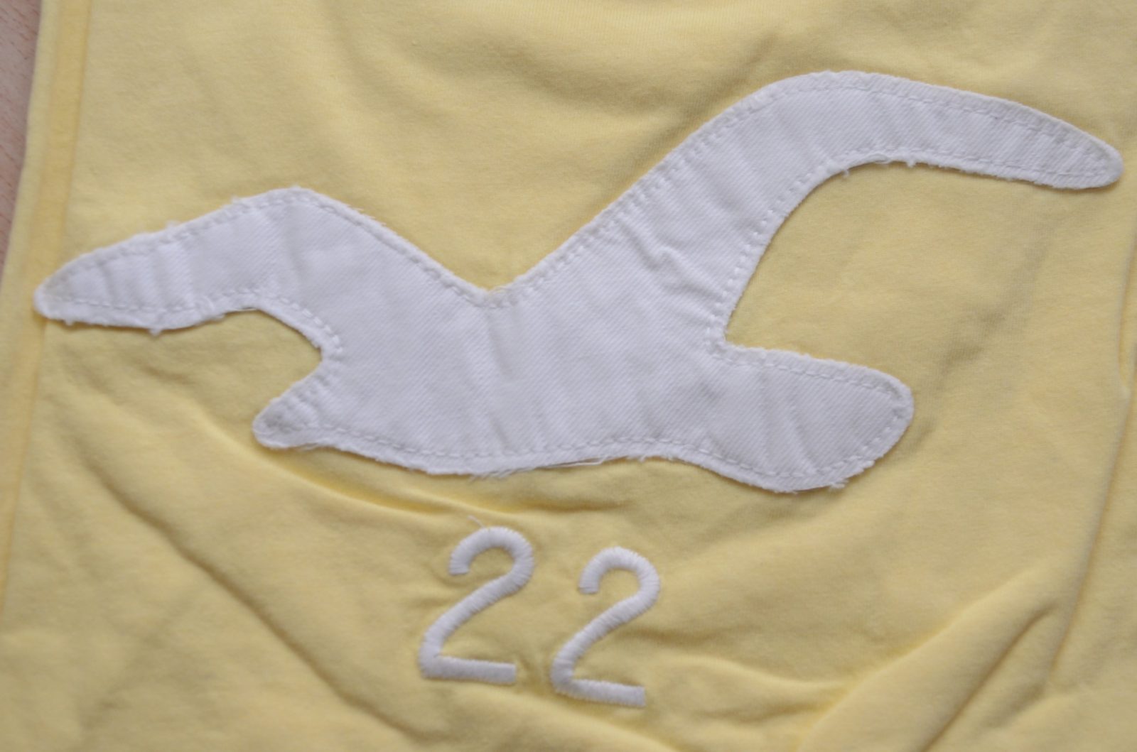 Hình Áo thun Hollister Classic Varsity Tee HCO-T80