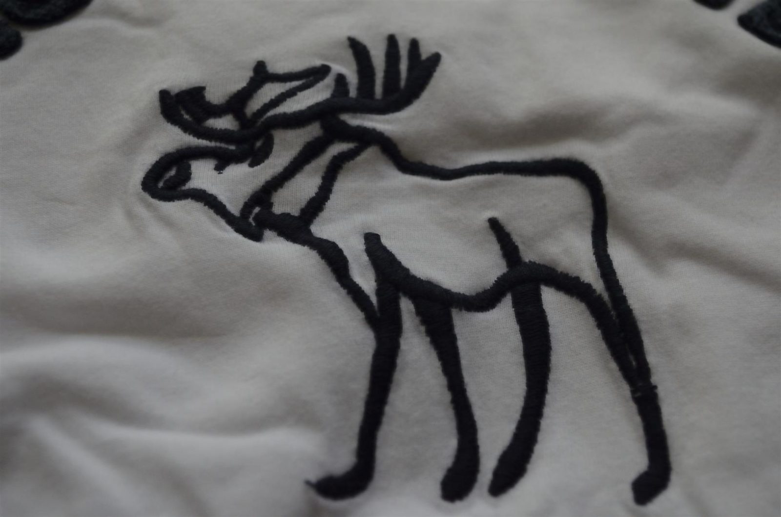 Hình Áo đôi Abercrombie nam nữ AF-AE02