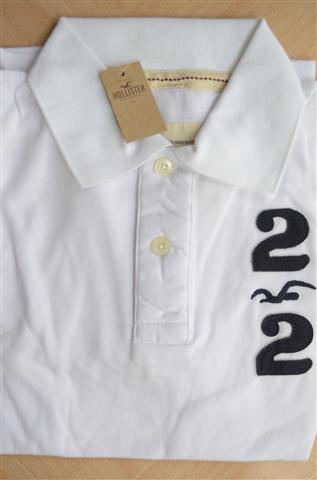 Hình Áo phông nam Hollister Classic Varsity Polo HCO-P33