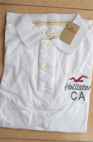 Hình Áo thun Hollister Classic Fit Polo HCO-P34