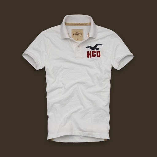 Hình Áo thun nam Hollister Vintage Polo HCO-P35