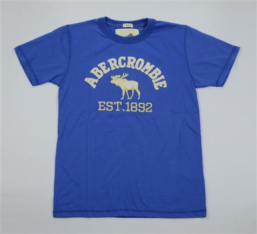 Hình Áo thun Abercrombie Heritage Tee AF-T40 Hình Áo thun Abercrombie Heritage Tee AF-T40