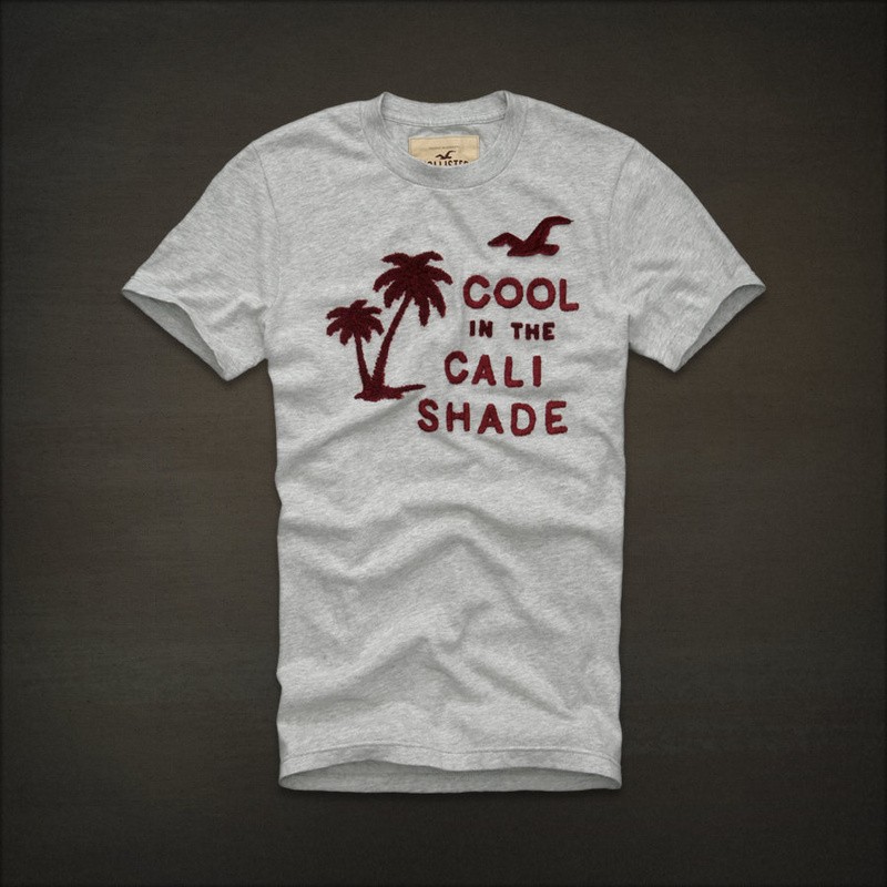 Hình Áo thun nam Hollister Basic Tee HCO-T86