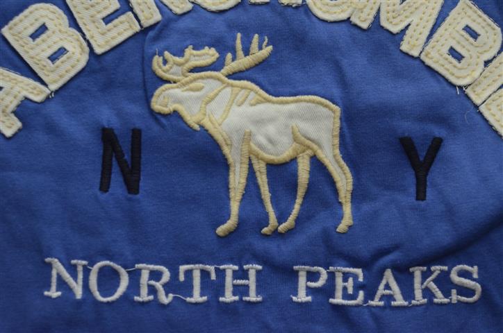 Hình Áo thun nam Abercrombie North Peaks Tee AF-T41