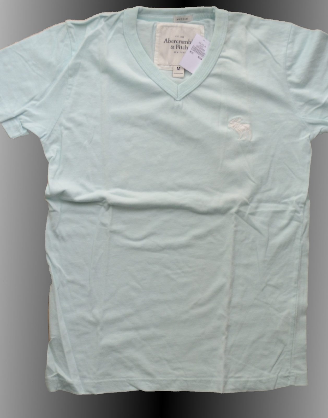 Hình Áo thun nam A&F V-Neck Tee AF-T44