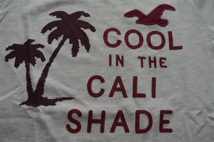 Hình Áo thun nam Hollister Basic Tee HCO-T86