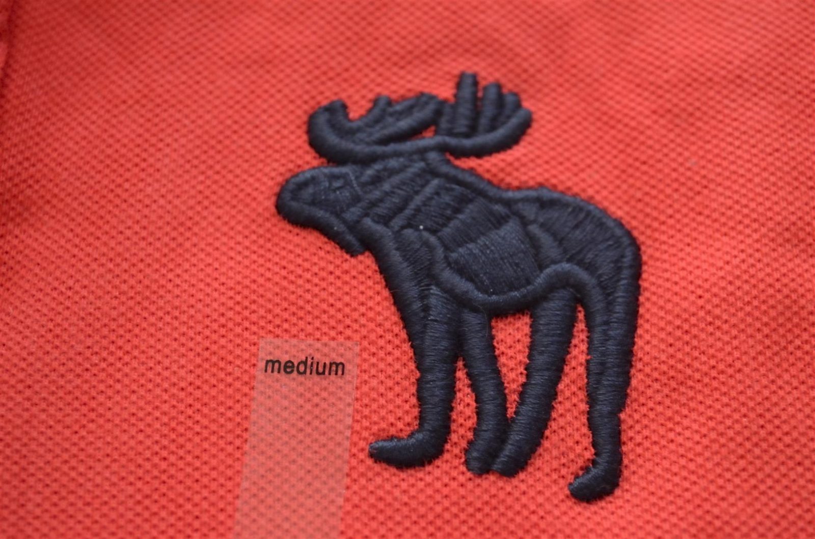 Hình Áo polo nam A&F Meacham Lake Polo AF-P14