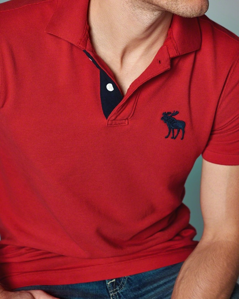 Hình Áo polo nam A&F Meacham Lake Polo AF-P14