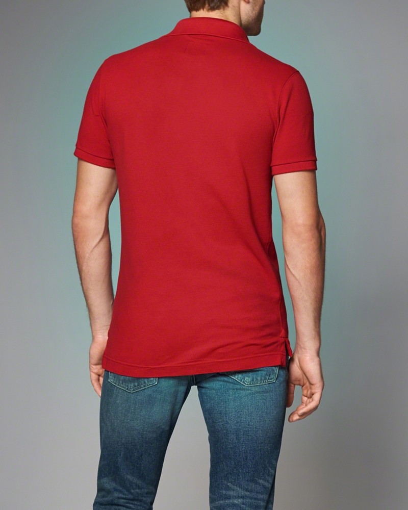 Hình Áo polo nam A&F Meacham Lake Polo AF-P14