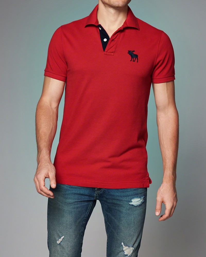 Hình Áo polo nam A&F Meacham Lake Polo AF-P14