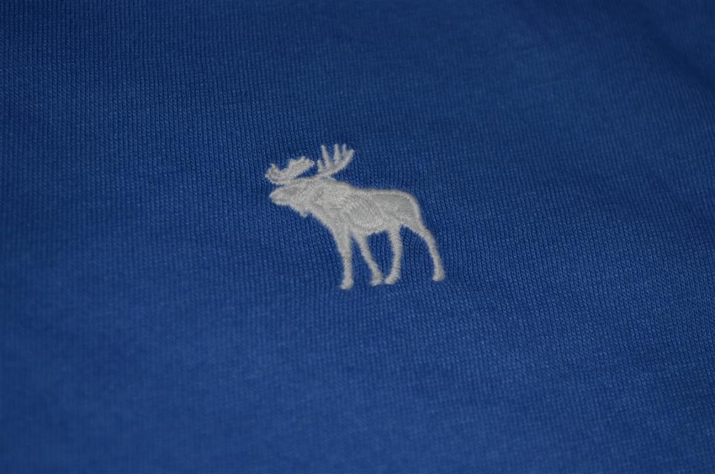 Hình Áo thun Abercrombie Kids Iconic V-Neck Tee AK-T22