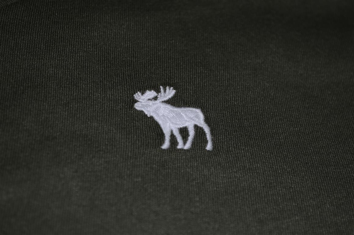 Hình Áo phông cộc tay Abercrombie & Fitch Iconic V-Neck Tee AK-T23