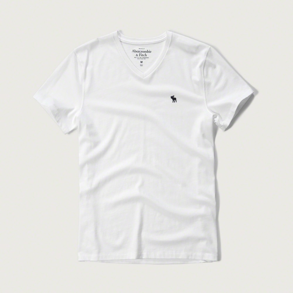 AF-T143-2S7MXL-290-ao-thun-abercrombie-fitch-nam