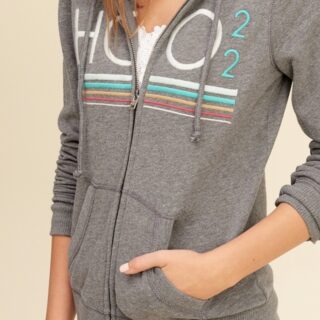 Hình Áo khoác nữ Hollister Logo Graphic Terry Hoodie HCO-NK05