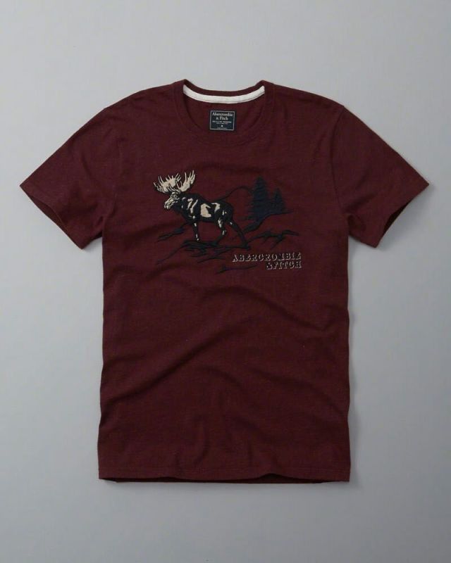 Hình Áo thun nam Abercrombie & Fitch AF-T163 Applique Logo