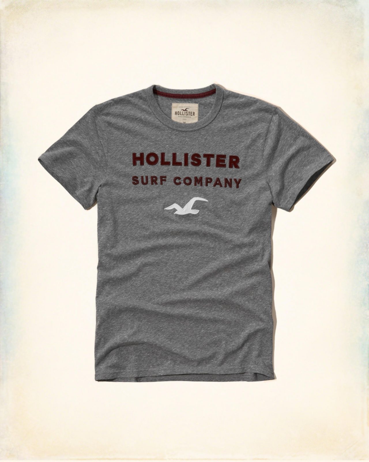 Hình Áo thun nam Hollister HCO-T123 Applique Logo