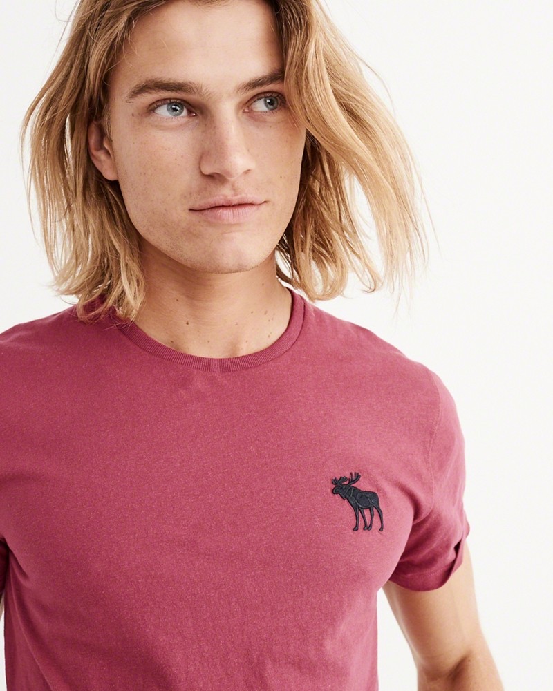 Hình Áo thun nam Abercrombie & Fitch AF-T169 Crew Tee