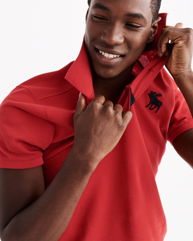 Hình Áo thun polo Abercrombie & Fitch AF-US-P01 Exploded Icon Polo