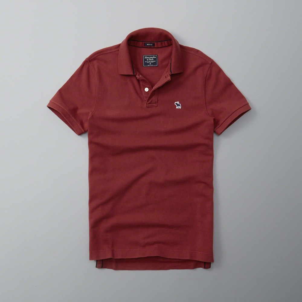 Hình Áo thun polo Abercrombie & Fitch AF-US-P06 Icon Polo