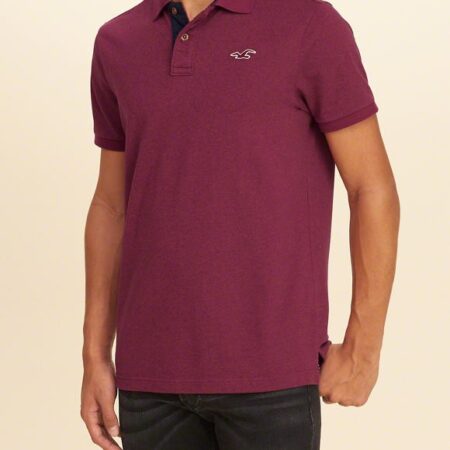 Hình Áo thun nam Hollister HCO-P89 Stretch Pique Icon heather purple