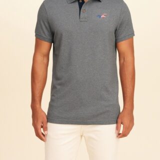 Hình Áo thun nam Hollister HCO-P106 Pique Icon Polo Heather Grey