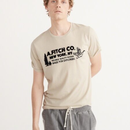 Hình Áo thun nam Abercrombie & Fitch AF-US-T13 Logo Graphic Tee