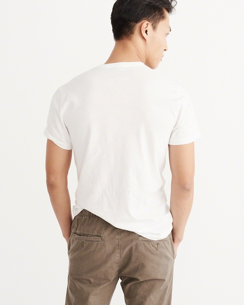 Hình Áo thun nam Abercrombie & Fitch AF-T207 BIG ICON V-NECK TEE