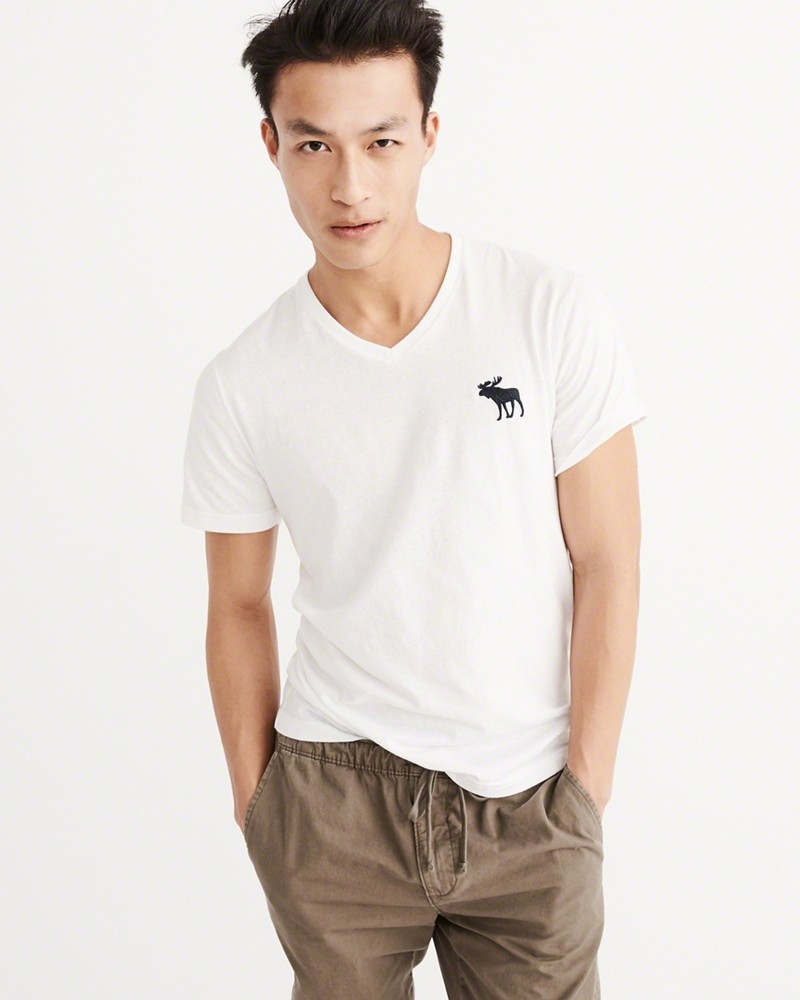 Hình Áo thun nam Abercrombie & Fitch AF-T207 BIG ICON V-NECK TEE