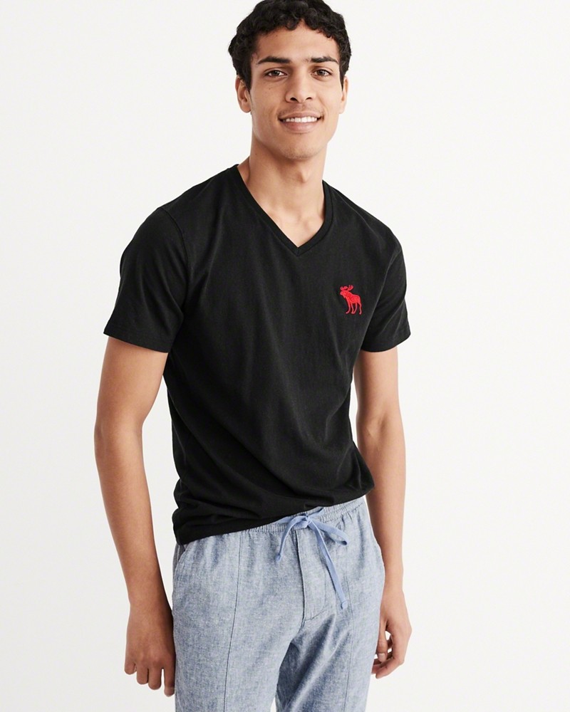 Hình Áo thun nam Abercrombie & Fitch AF-T208 BIG ICON V-NECK TEE