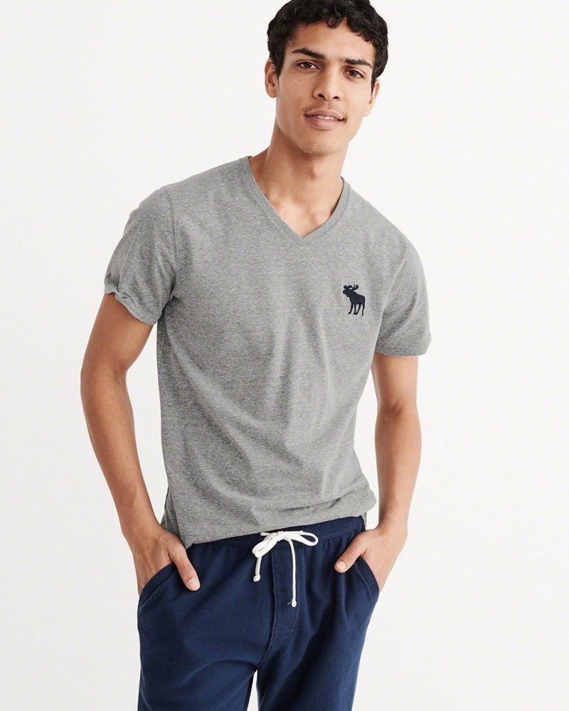 Hình Áo thun nam Abercrombie & Fitch AF-T209 BIG ICON V-NECK TEE