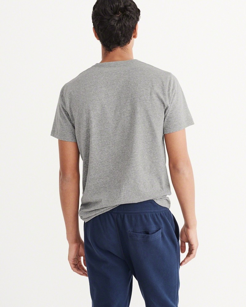 Hình Áo thun nam Abercrombie & Fitch AF-T209 BIG ICON V-NECK TEE