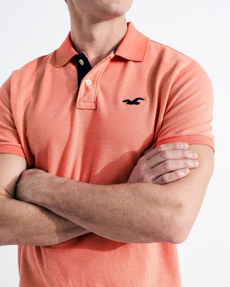 Hình Áo thun nam Hollister HCO-P159 Stretch Pique Polo Purple