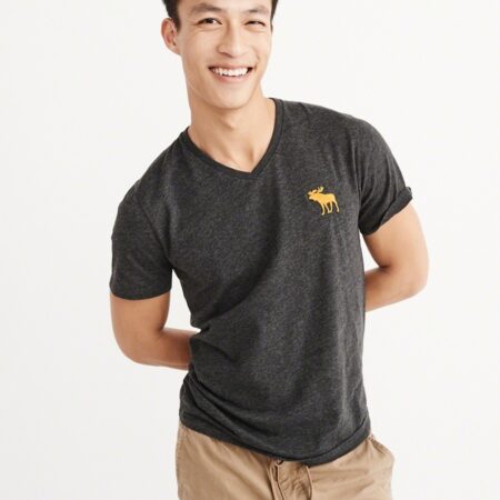 Hình Áo thun nam Abercrombie & Fitch AF-T210 BIG ICON V-NECK TEE