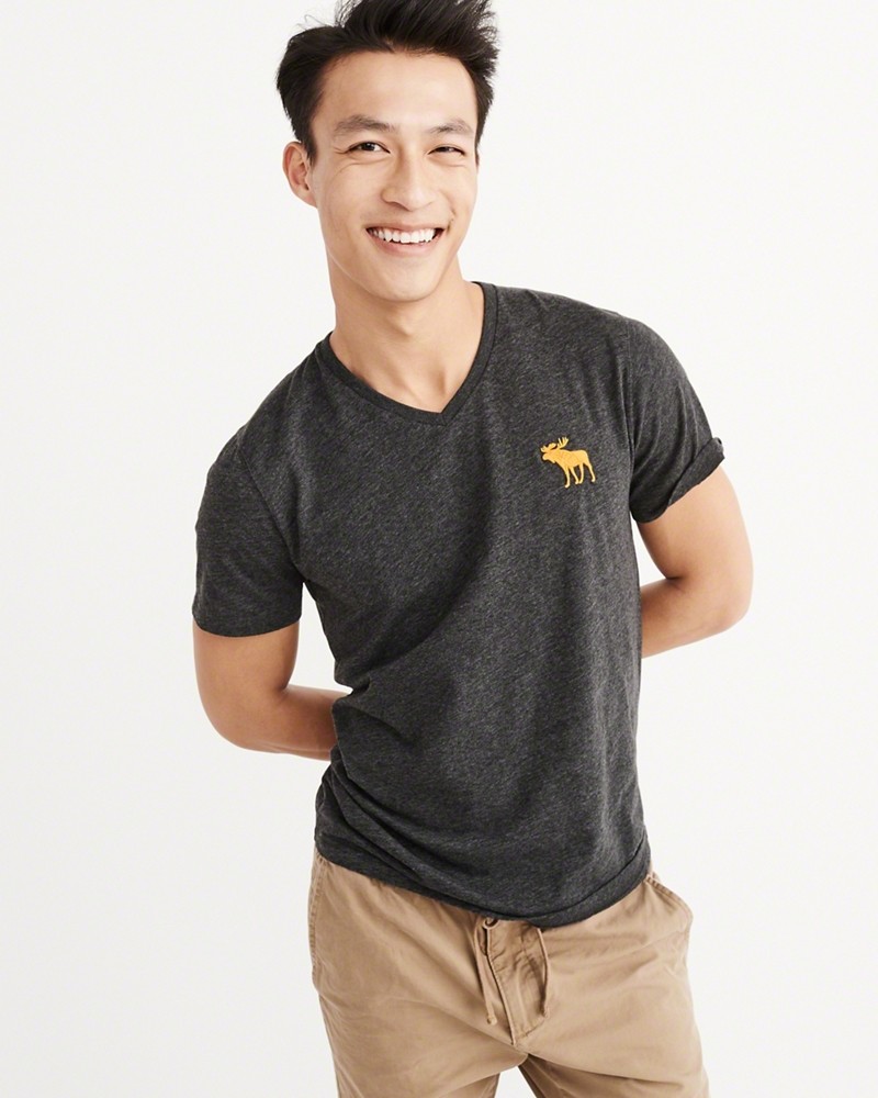 Hình Áo thun nam Abercrombie & Fitch AF-T210 BIG ICON V-NECK TEE
