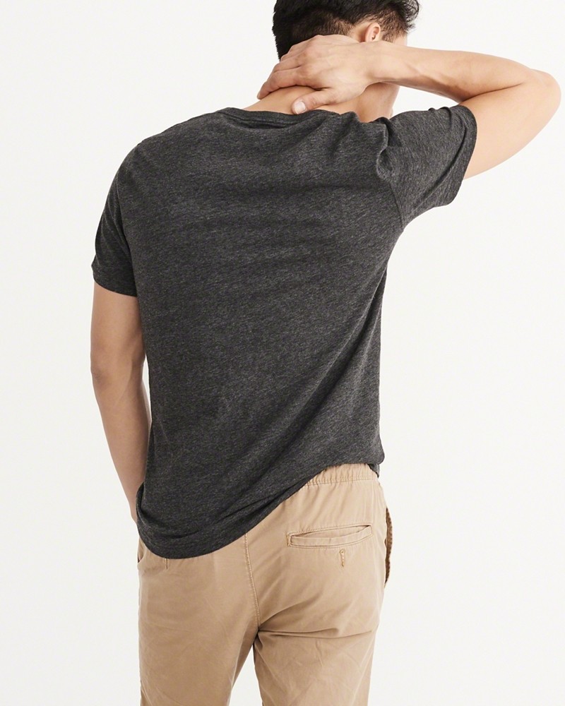 Hình Áo thun nam Abercrombie & Fitch AF-T210 BIG ICON V-NECK TEE