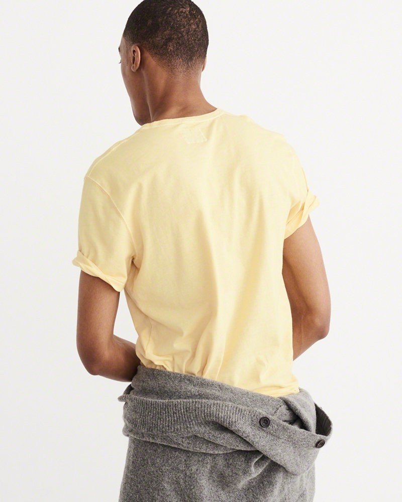 Hình Áo thun nam Abercrombie & Fitch AF-T216 Garment Dye Crew Tee