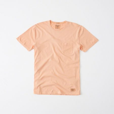 Hình Áo thun nam Abercrombie & Fitch AF-T218 Garment Dye Crew Tee